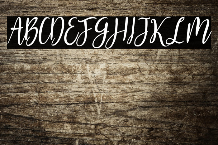 Gabriella One Bold Example 3