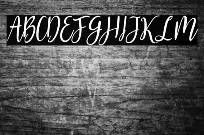 Gabriella One Bold Font examples