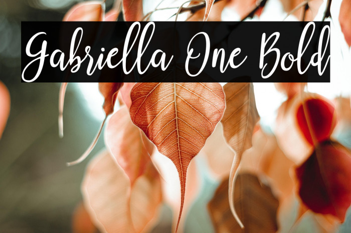 Gabriella One Bold Example 1