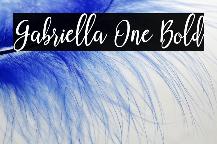 Gabriella One Bold Example 3