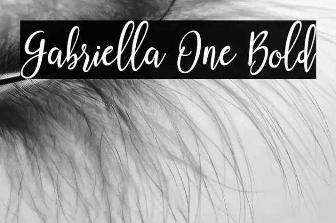 Gabriella One Bold Font examples