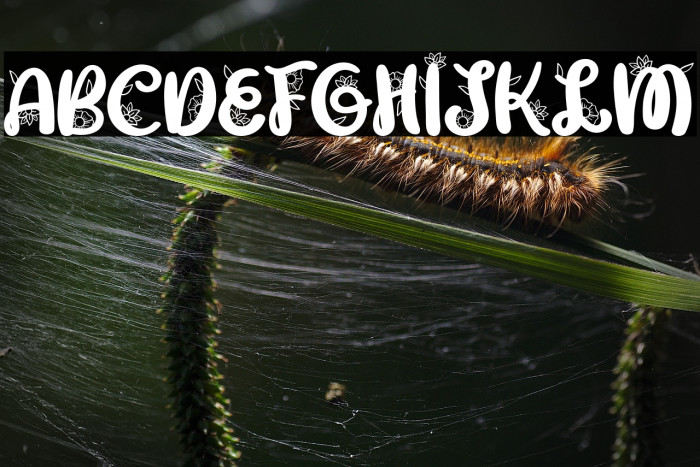 GabriellaFREE Example 1