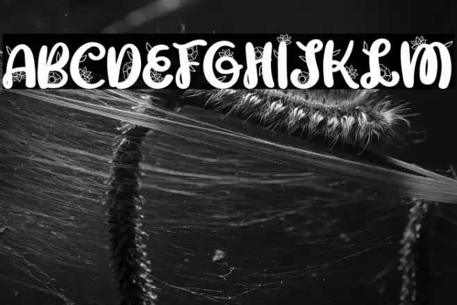 GabriellaFREE Font examples