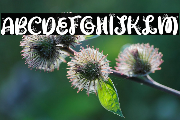 GabriellaFREE Example 2