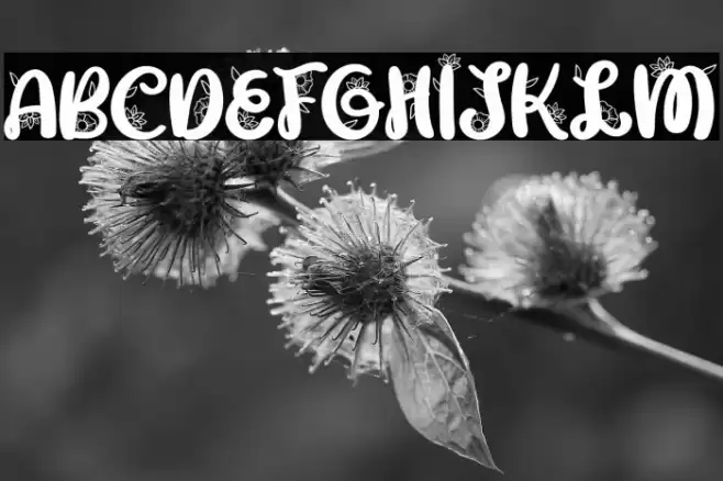 GabriellaFREE Font examples