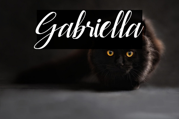 Gabriella Example 3