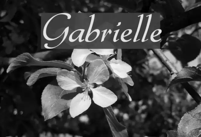 Gabrielle Font examples