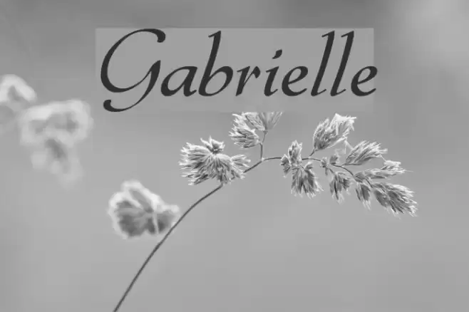Gabrielle Font examples