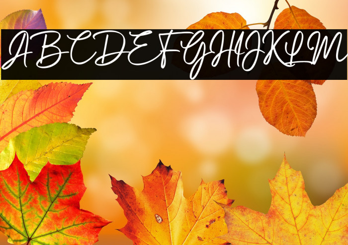 Gabrietha Demo Example 3