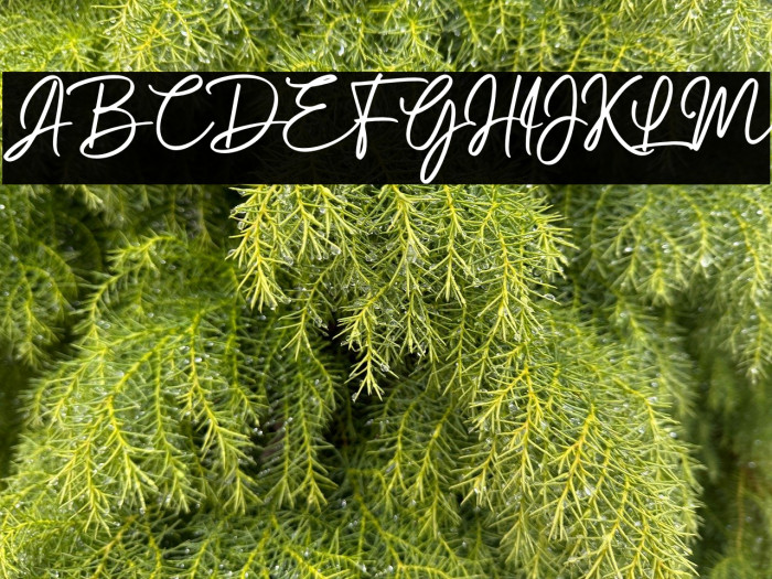 Gabrietha Demo Example 2