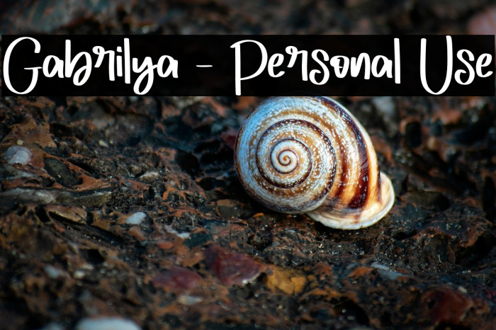 Gabrilya - Personal Use Example 1