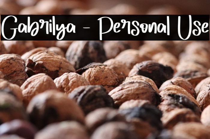 Gabrilya - Personal Use Example 2