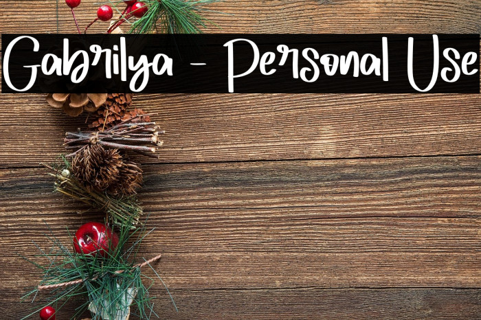 Gabrilya - Personal Use Example 3