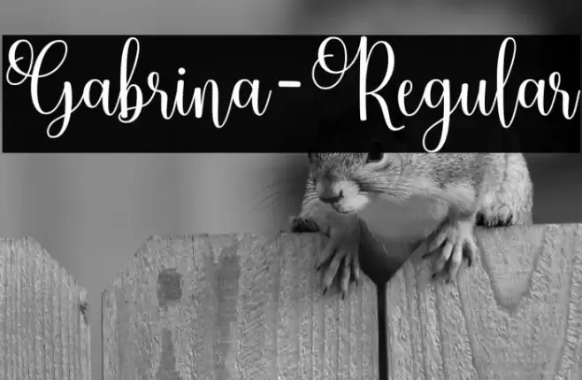Gabrina-Regular Font examples