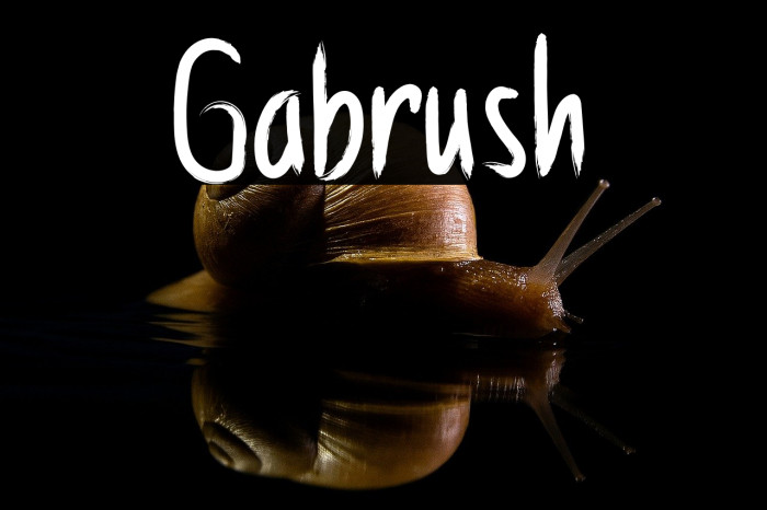 Gabrush Example 2