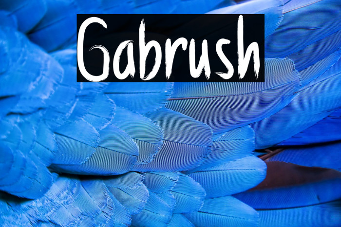 Gabrush Example 3