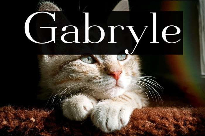 Gabryle Example 2