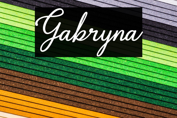 Gabryna Example 1