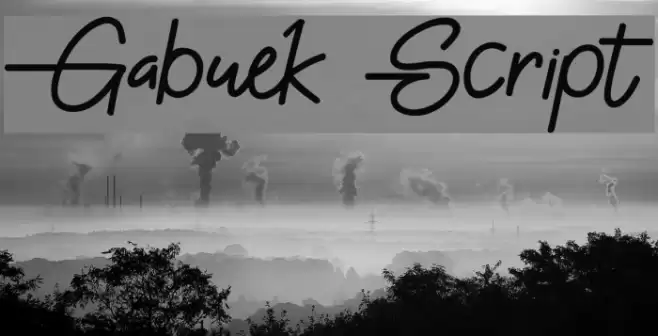 Gabuek Script Font examples