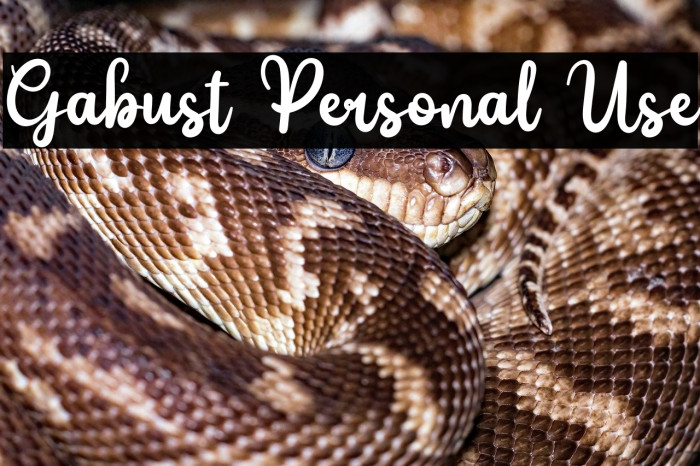 Gabust Personal Use Example 1