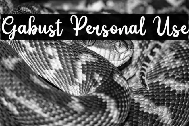 Gabust Personal Use Font examples