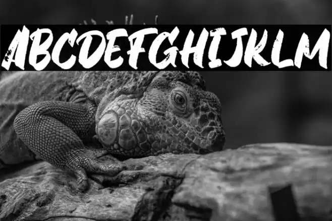 Gabuters Font examples