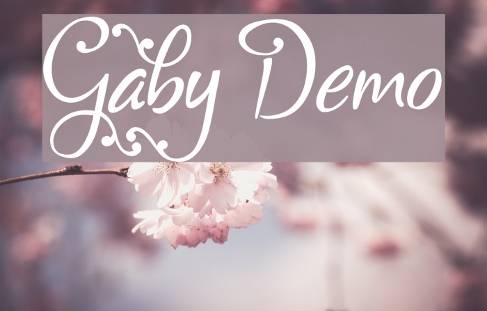 Gaby Demo Font examples