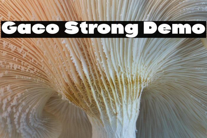 Gaco Strong Demo Example 1