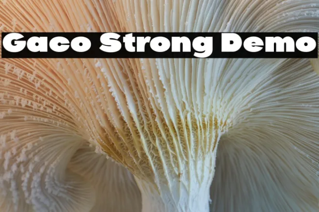 Gaco Strong Demo Example 1