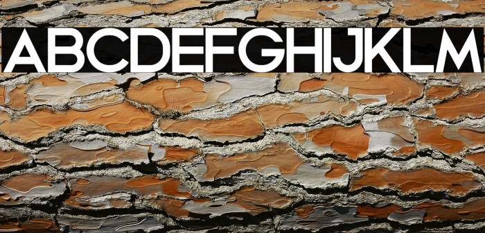 Gacor Personal Use Example 3