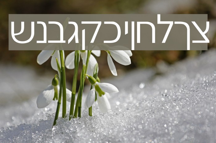 Gad Light Normal Example 2