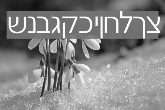 Gad Light Normal Font examples