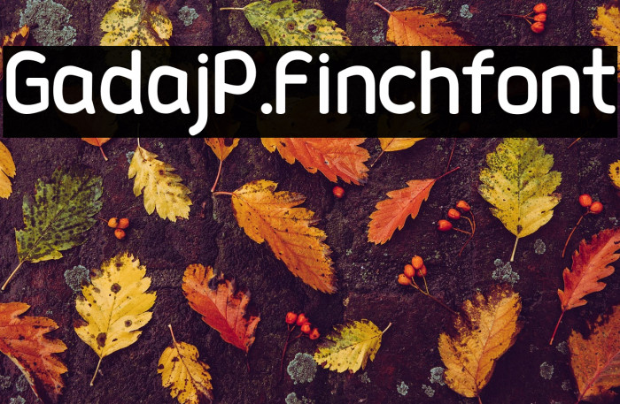 Gadaj_P.Finch_font Example 1