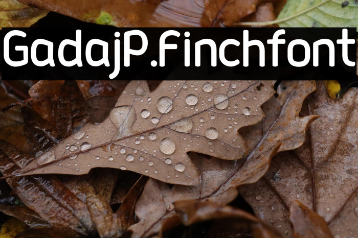 Gadaj_P.Finch_font Example 2