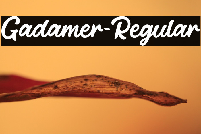 Gadamer-Regular Example 1