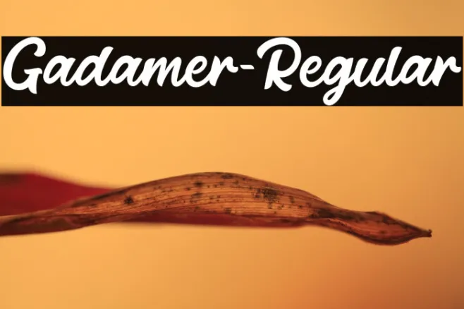 Gadamer-Regular Example 1