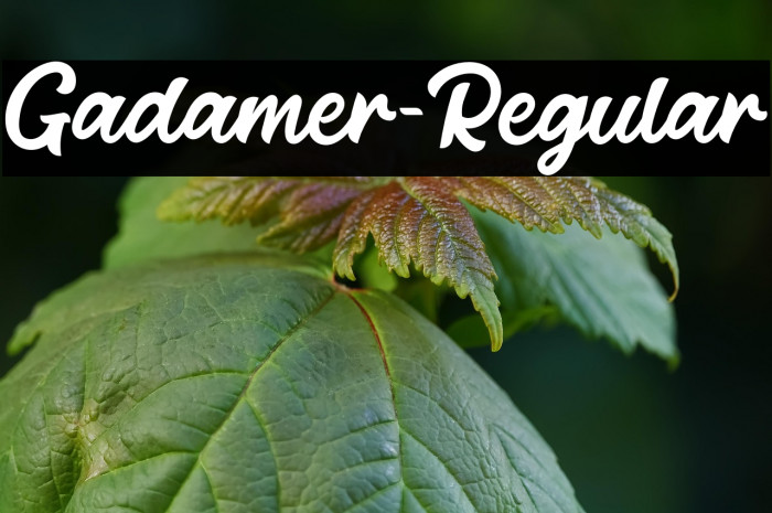 Gadamer-Regular Example 2