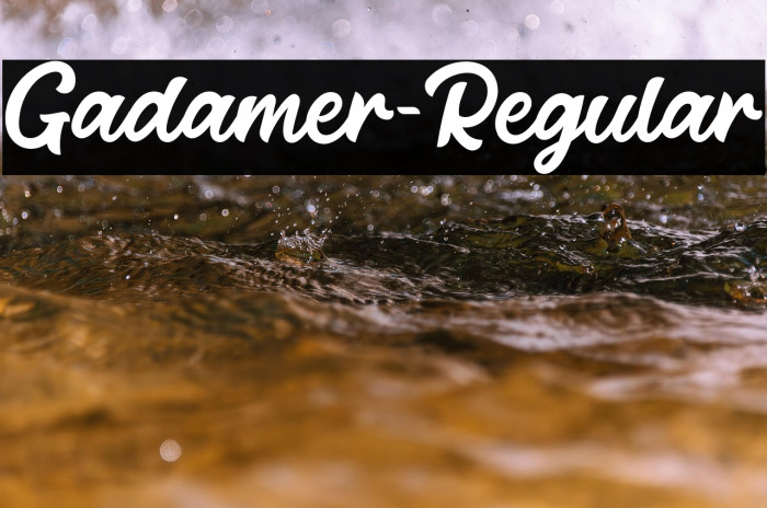 Gadamer-Regular Example 3