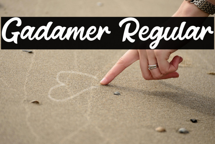 Gadamer Regular Example 1