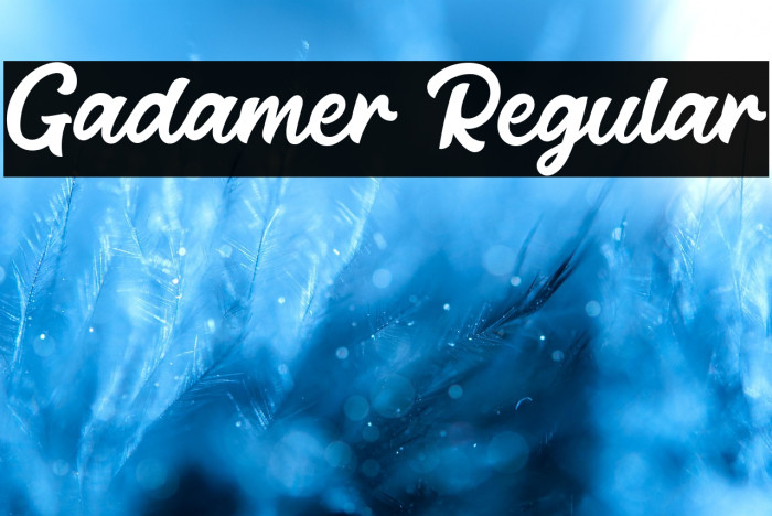 Gadamer Regular Example 2