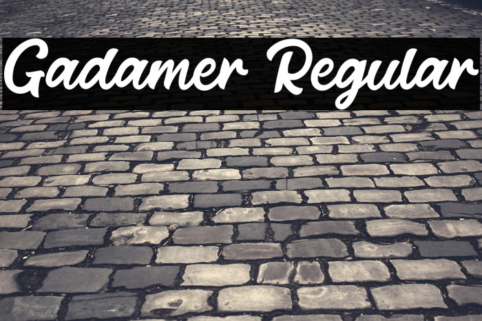 Gadamer Regular Example 3