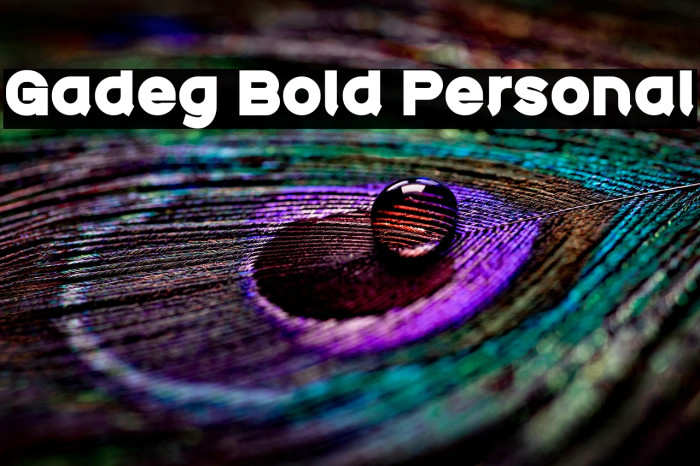 Gadeg Bold Personal Example 2