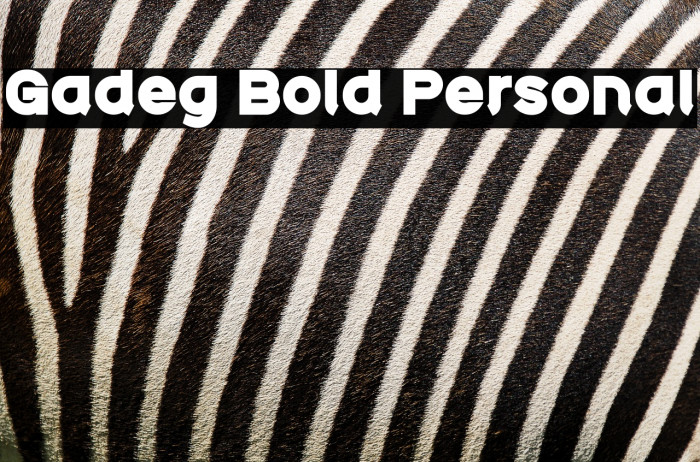 Gadeg Bold Personal Example 3