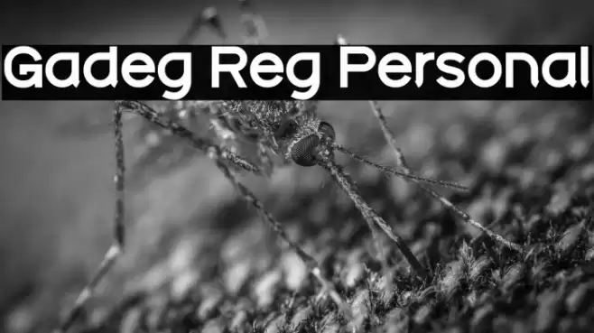 Gadeg Reg Personal Font examples