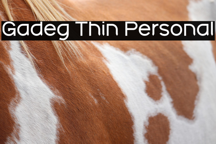 Gadeg Thin Personal Example 2