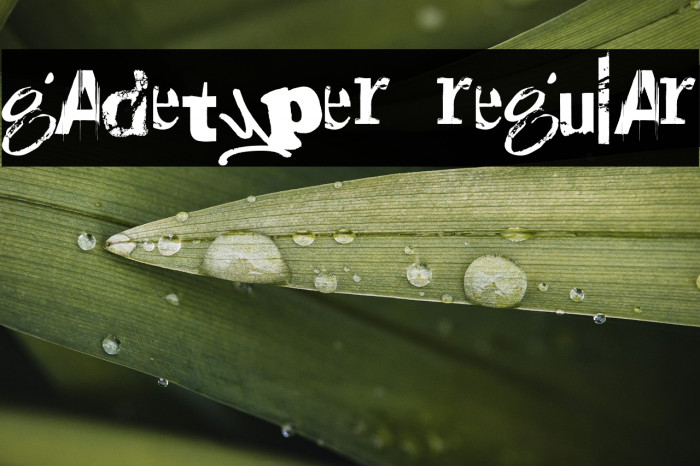 Gadetyper Regular Example 3