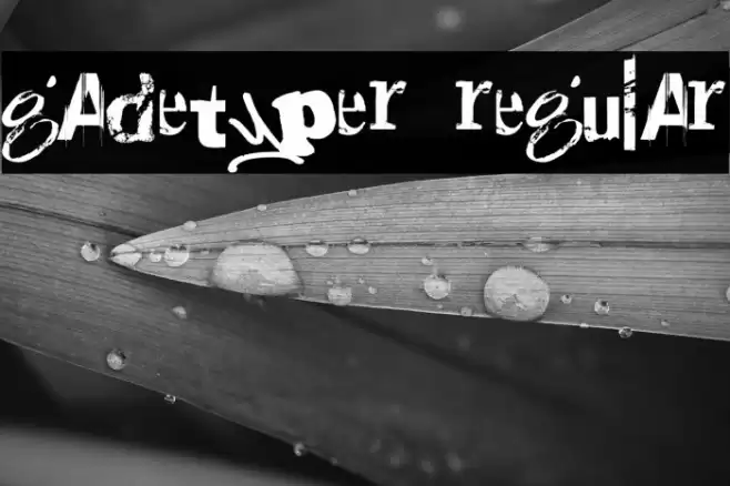 Gadetyper Regular Caratteri examples