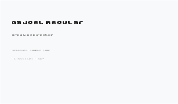 Gadget Regular Business Card