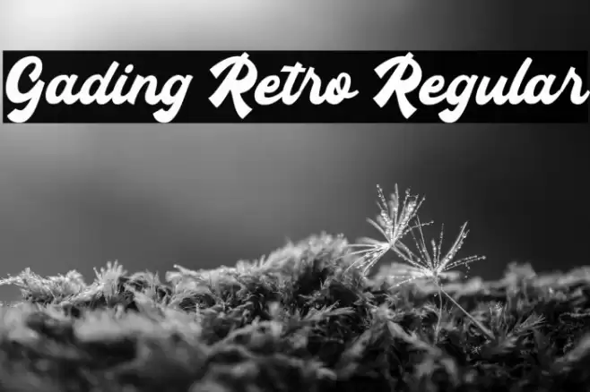 Gading Retro Regular Font examples