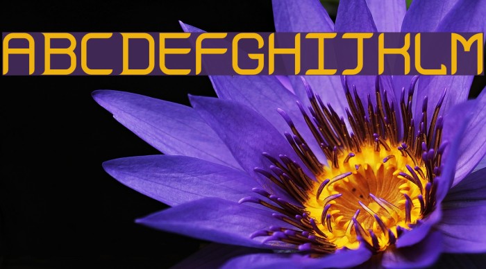 Gadolinium Rounded Font examples